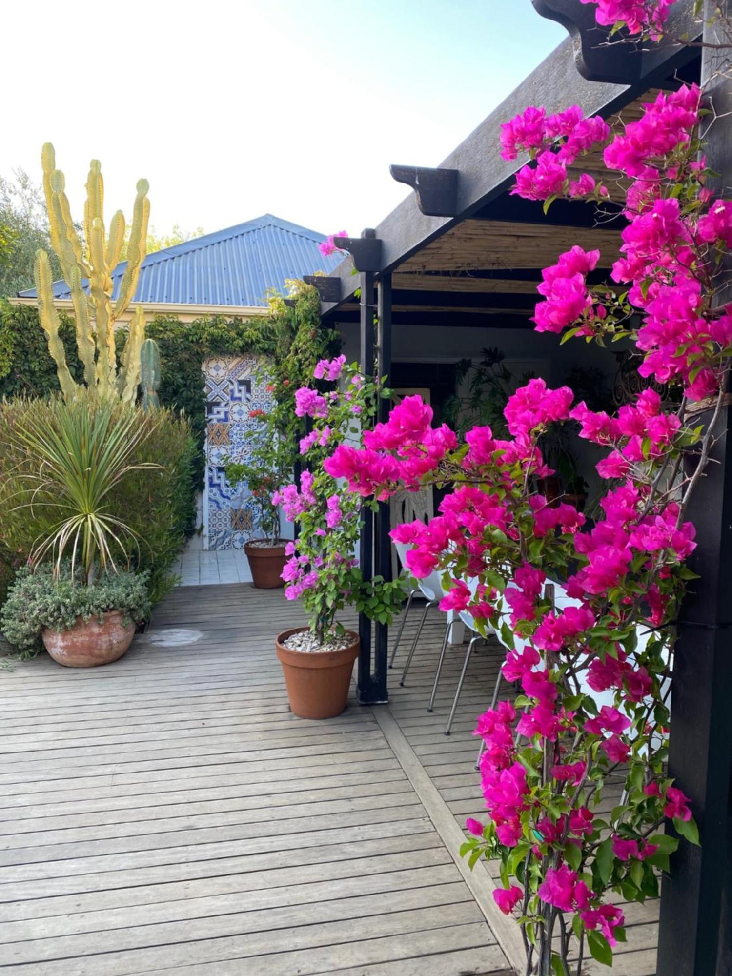 1 Royal Street Guesthouse Riebeek-Kasteel Exterior photo
